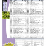 Printable 14 Day 1400 Calories A Day Paleo Diet Menu