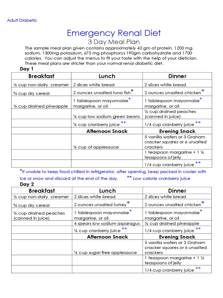 Renal Diet Chart 2 Free Templates In PDF Word Excel 