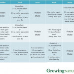 Sample 3 Day Eating Plan With GN Protein Shakes Growing