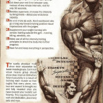 Simple And Easy Recipes Arnold Schwarzenegger Workout