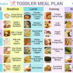 The Ideal Balanced Diet For Toddlers WOW Parenting