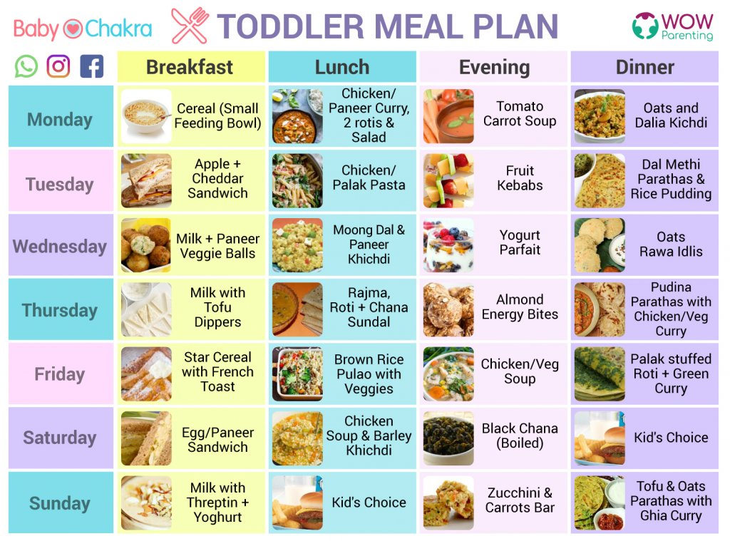 The Ideal Balanced Diet For Toddlers WOW Parenting