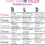 The Paleo Diet A Beginner s Guide And Meal Plan
