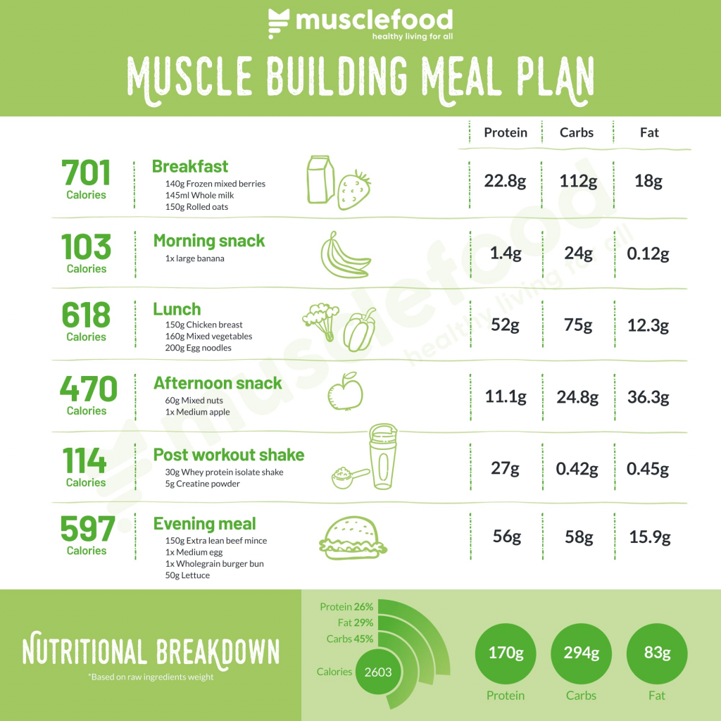 muscle meal plan