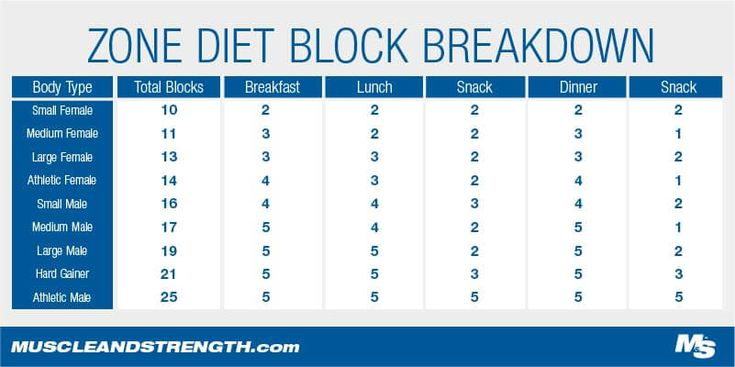The Zone Diet Plan Guide Zone Diet Blocks Zone Diet 
