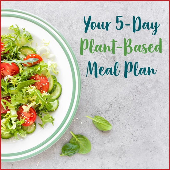Your 5 Day Plant Based Meal Plan Get Healthy U