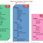 8 Month Old Baby Food Recipes Bi coa