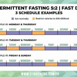 A Beginner s Guide To Intermittent Fasting Daily Plan