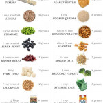 A Nutritionist Explains The Best Plant Based Protein