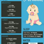 About Eating Time Table Of My 7 Month Old Girl