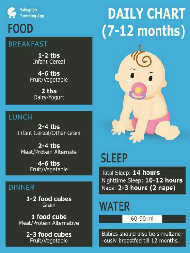 About Eating Time Table Of My 7 Month Old Girl