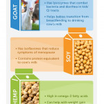 Alternative Milk Does A Body Good Infographic