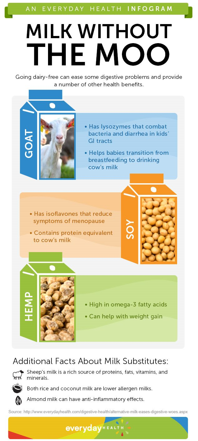  Alternative Milk Does A Body Good Infographic 