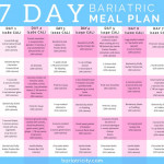 Bariatric Meal Planning Guide 7 Day Sample Meal Plan