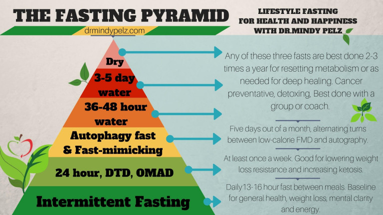 Caloric Restriction Autophagy And The Effects On Aging