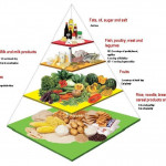 Diets DASH Vs Flexitarian Vs Mediterranean Vs MIND