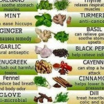 Dr Sebi Diet Top 10 Healthy Alkaline Organic Food List For