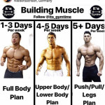 Earnest Fabricated Clean Bulk Diet Click To Investigate