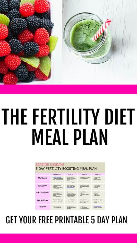 Fertility Super Foods To Help You Get Pregnant Fertility 
