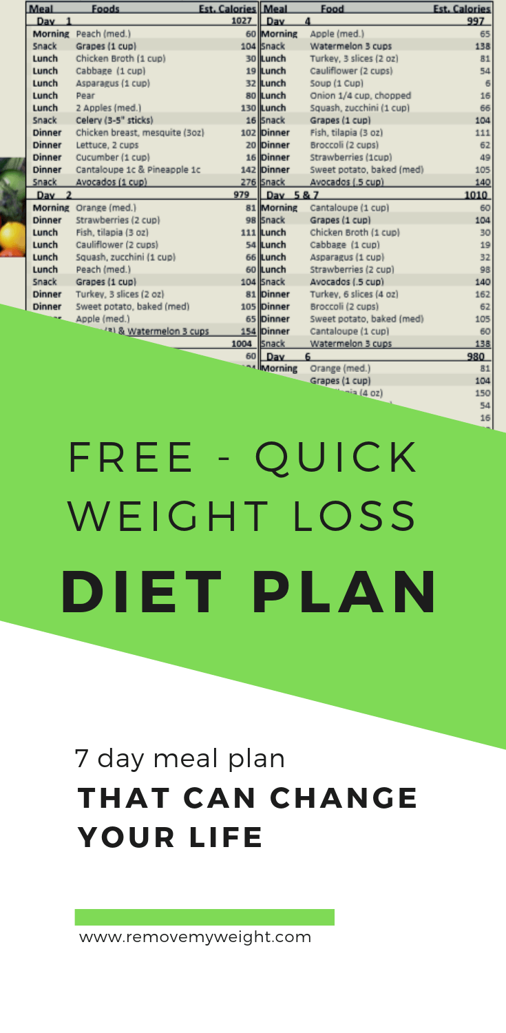 FREE Quick Weight Loss Diet Plan Menu Plan For Weight Loss