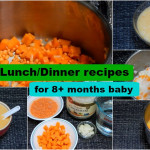 Healthy Recipes For 9 Month Old Baby Bi coa