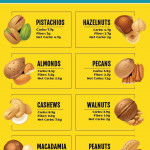 Low Carb Nuts Ultimate Guide Keto Diet Food List Diet