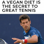 Novak Djokovic Says A Vegan Diet Is The Secret To Great