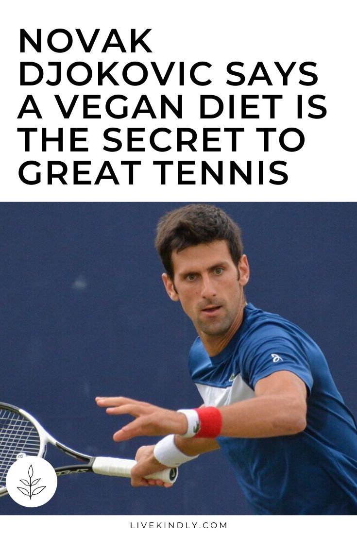 Novak Djokovic Says A Vegan Diet Is The Secret To Great 