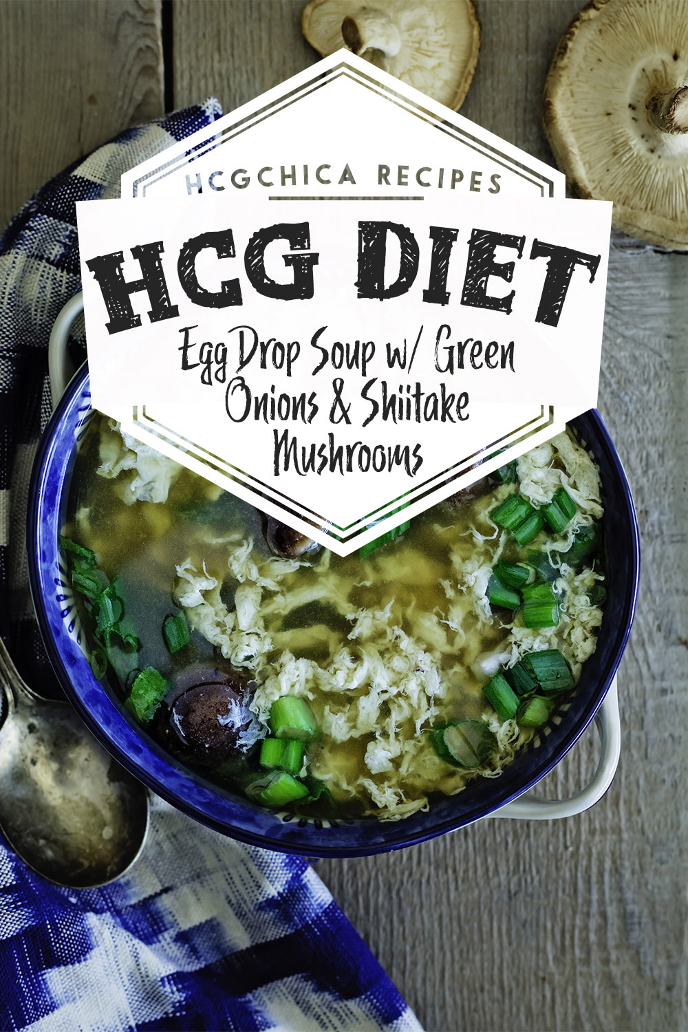 P2 HCG Diet AP Recipe Egg Drop Soup With Green Onions 