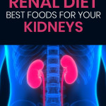 Renal Diet Foods List And Eating Plan For Kidney Disease