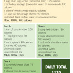 Sample Dr Now Meal Plan 1200 Calorie Diet Plan Dr