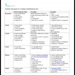 Sample Meal Plan For Breastfeeding Moms Healthy