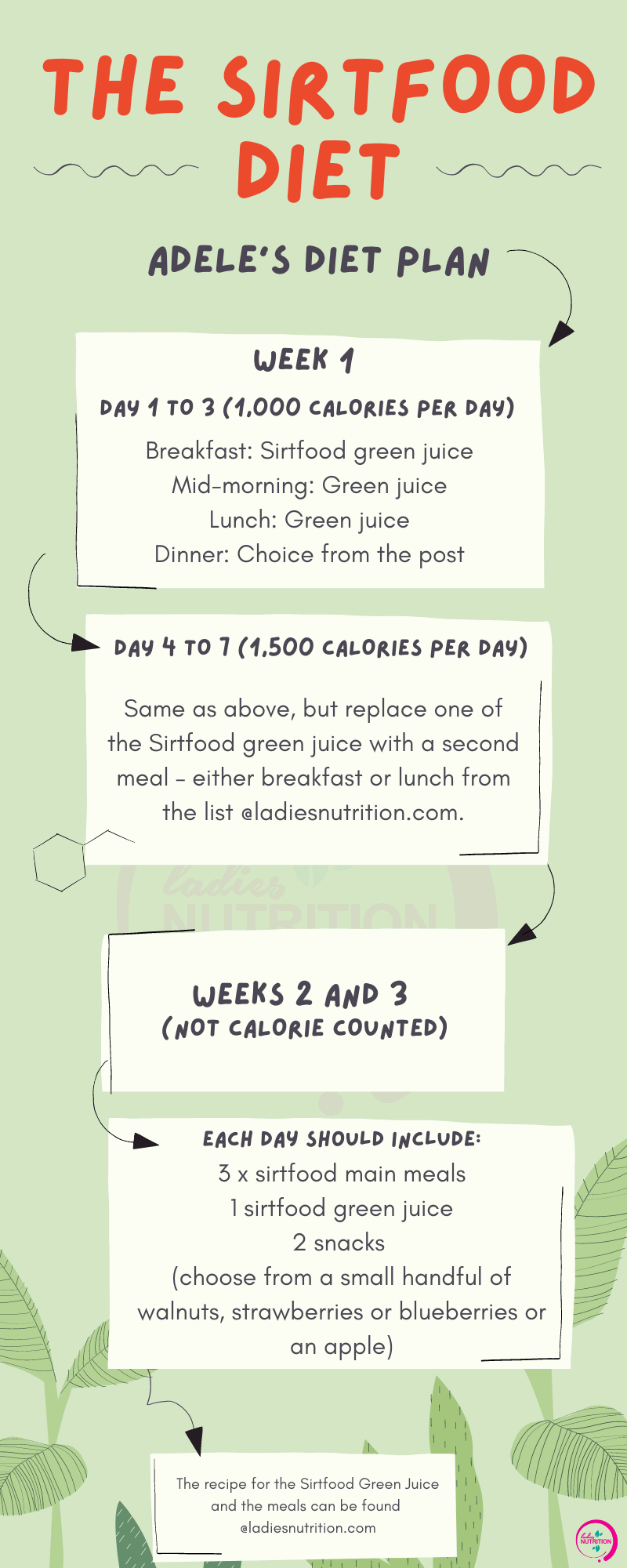 Sirtfood Diet That Adele Was Using To Lose Weight Ladies