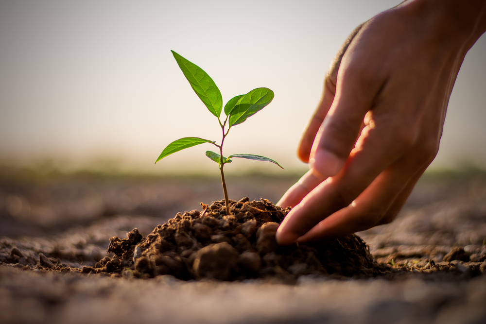 Talk To Your Plants By Dr Steven D Farmer HealYourLife
