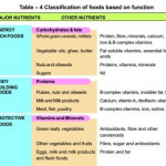 The Ideal Balanced Diet What Should You Really Eat