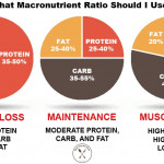 The Ultimate Guide To Calculating Macros Meal Prep On Fleek