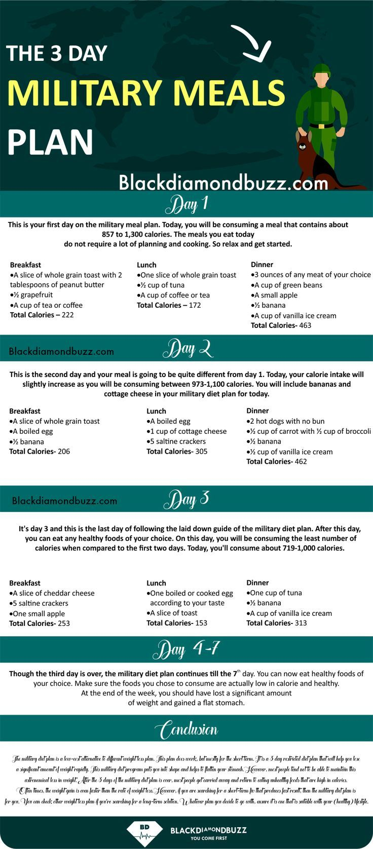 3 Day Military Diet Shopping List Examples And Forms