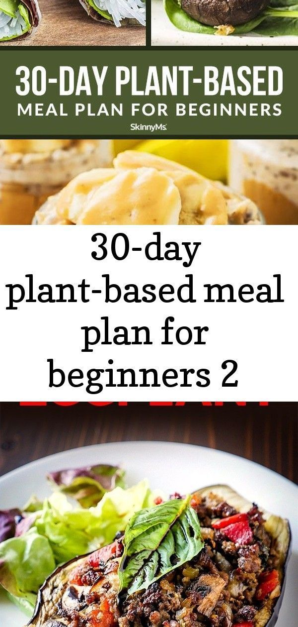 30 day Plant based Meal Plan For Beginners 2 