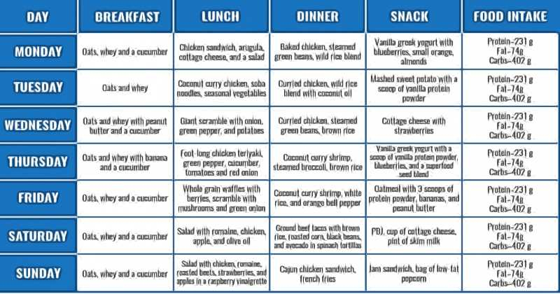 7 Day Protein Diet Plan For Weight Loss