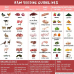 Barf Diet Chart Google Search Raw Dog Food Recipes