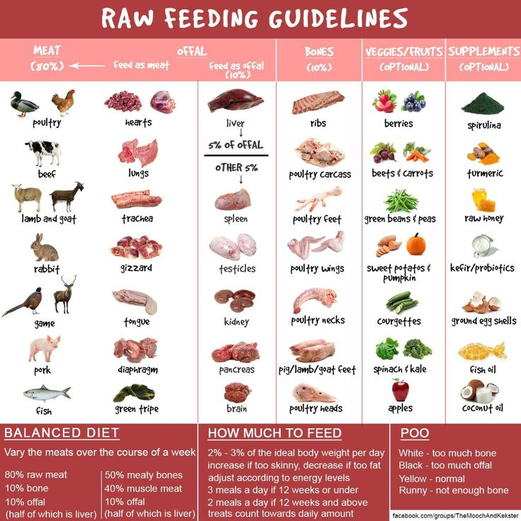 Barf Diet Chart Google Search Raw Dog Food Recipes 
