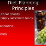 Daily Diet Plan