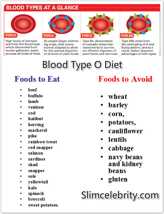 Diet Plan For 0 Positive Blood Type Diet Plan