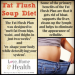 Fat Flush Soup Diet A Fantastic Cleanse And Detox