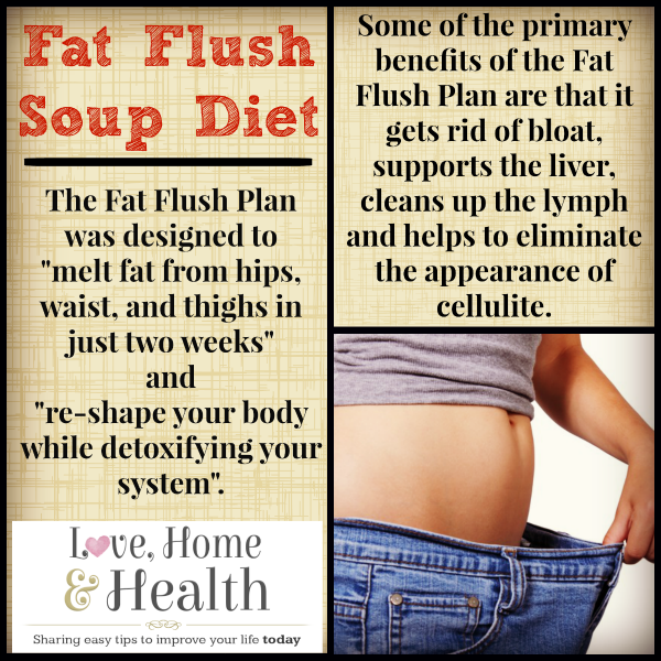 Fat Flush Soup Diet A Fantastic Cleanse And Detox 