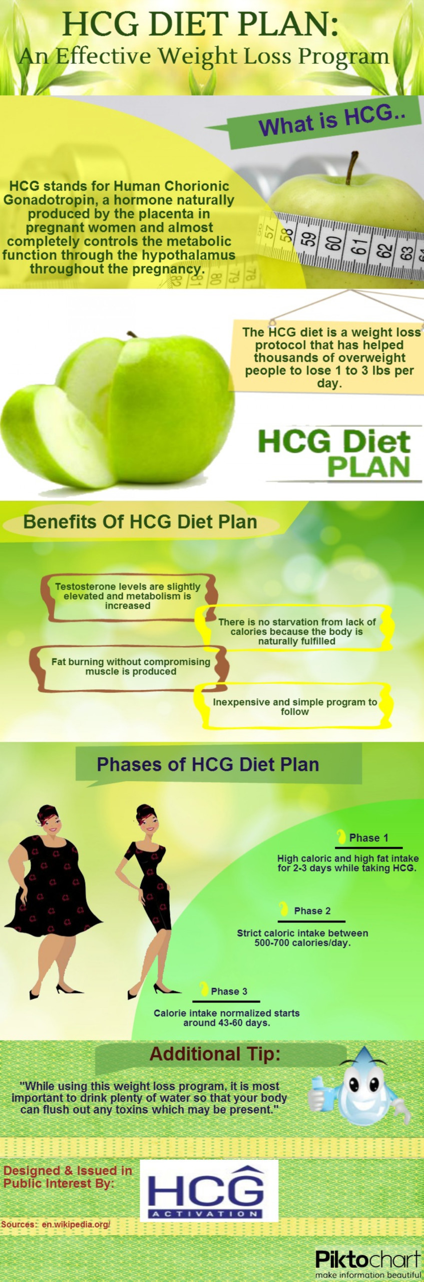 HCG DIET PLAN An Effective Weight Loss Program Visual ly