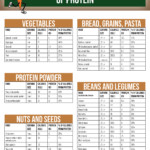 High Protein Diet Plan No Meat Diet Plan