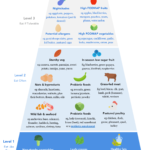 Leaky Gut Diet Menu Plan Josh Axe Ktechrebate