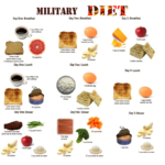 Lose 10 Pounds Per Week With The New 3 Day Military Diet