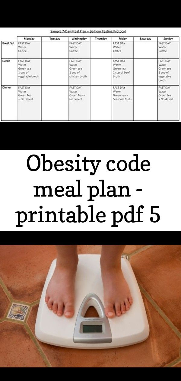 Obesity Code Meal Plan Printable Pdf 5
